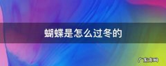 蝴蝶是怎么过冬的视频 蝴蝶是怎么过冬的