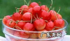 樱桃有虫子能吃吗 樱桃有虫子能吃吗图片