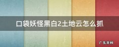 口袋妖怪黑白2土地云怎么抓 口袋妖怪黑2土地云哪里抓