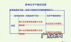 影响化学平衡的因素 影响化学平衡的因素总结