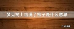 梦见树上结满了柿子是什么意思 梦见树上结满了柿子是什么意思呀