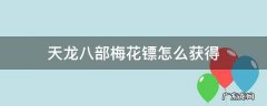 天龙八部逍遥梅花镖打什么宝石 天龙八部梅花镖怎么获得
