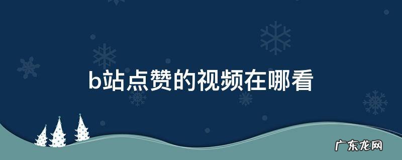 b站点赞的视频在哪看 b站点赞的视频在哪看iPad
