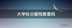 大学处分留档案里吗 可以消除嘛 大学处分留档案里吗