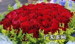 情人节送什么花好看图片 情人节送什么花好