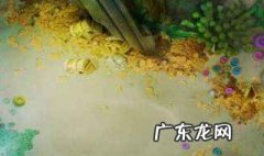 捕鱼达人攻略 捕鱼达人攻略与技巧 百度知道