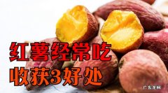 吃红薯有什么好处？吃红薯的注意事项有哪些？