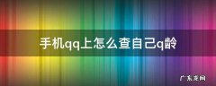 2021手机qq上怎么查自己q龄 手机qq上怎么查自己q龄
