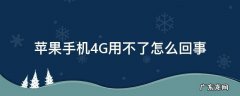 苹果手机4G用不了 苹果手机4G用不了怎么回事