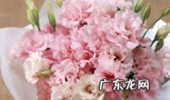 妈妈过生日送什么好 妈妈过生日送什么好还是学生