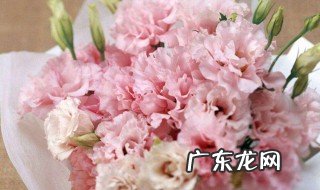 妈妈过生日送什么好 妈妈过生日送什么好还是学生