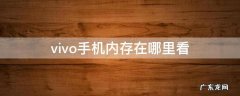 vivo在哪儿看手机内存 vivo手机内存在哪里看
