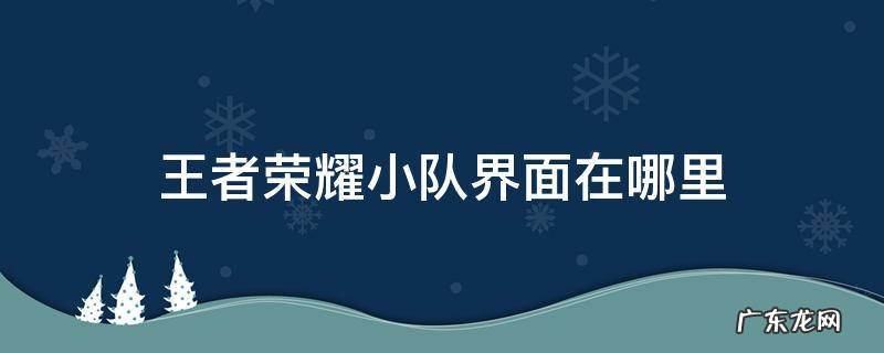 王者荣耀小队界面在哪里 王者小队页面在哪