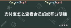 支付宝怎么查看会员蚂蚁积分明细 支付宝的蚂蚁会员在哪里查看