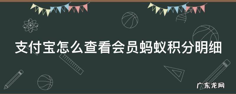 支付宝怎么查看会员蚂蚁积分明细 支付宝的蚂蚁会员在哪里查看