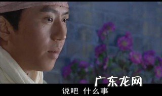 少年包青天3结局 少年包青天3结局太扯了