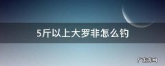 5斤以上大罗非怎么钓 野钓大罗非怎么钓