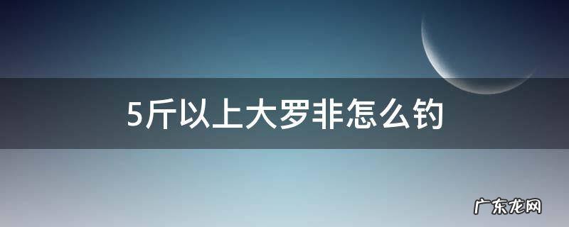 5斤以上大罗非怎么钓 野钓大罗非怎么钓