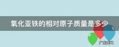 氧化亚铁的相对原子质量是多少 氧化亚铁的元素质量比