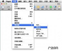 转换pages格式为word,如何操作？