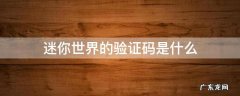 迷你世界的验证码是什么 迷你世界里面的验证码是什么