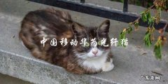 中国移动使用华为光纤猫，你知道它的优势和特点吗？