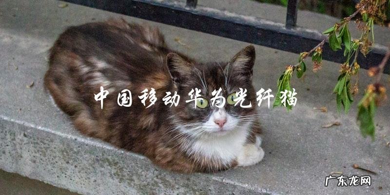 中国移动使用华为光纤猫,你知道它的优势和特点吗?