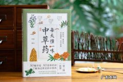 怎么寄中药到国外