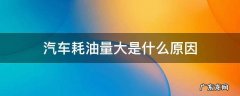 汽车耗油量大的原因和解决方法 汽车耗油量大是什么原因