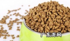 狗粮怎么泡软步骤 狗粮怎么泡