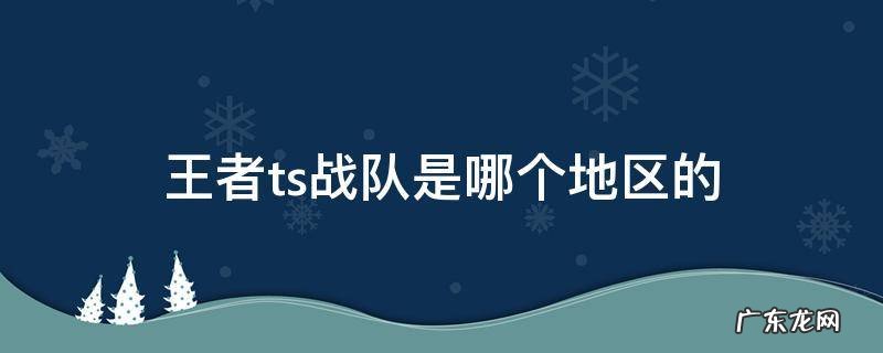 王者ts战队成员 王者ts战队是哪个地区的