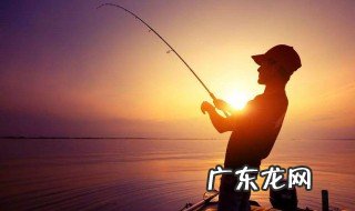 什么样的天气最佳钓鲤鱼 什么天气适应钓鲤鱼