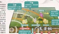 地震前兆动物异常反应 地震的前兆