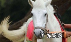白龙马原是谁 白龙马原是什么身份