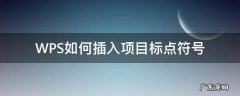 wps标点符号在哪里 WPS如何插入项目标点符号