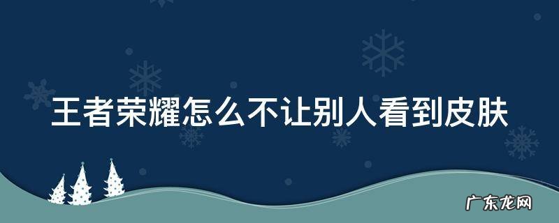 王者荣耀怎么不让别人看到皮肤数据 王者荣耀怎么不让别人看到皮肤