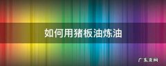 猪板油怎么炼成油 如何用猪板油炼油