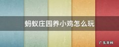 蚂蚁庄园养小鸡怎么玩 蚂蚁庄园的小鸡怎么养