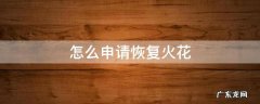 怎么恢复小火花 怎么申请恢复火花