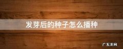 发芽后的种子怎么播种 种子发芽以后怎么种