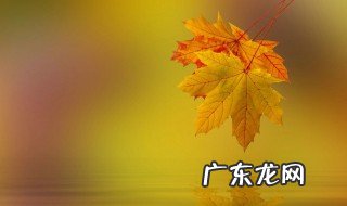 秋天的树叶像什么比喻句 秋天的树叶像什么
