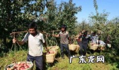 农村冷门商机 农村不起眼的商机有哪些
