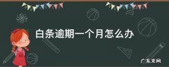 白条逾期一个星期严重吗 白条逾期一个月怎么办