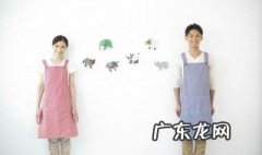 什么是丁克家庭,核心家庭,主干家庭,联合家庭 什么是丁克家庭