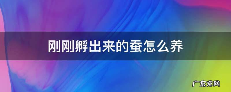蚕怎么样才能孵出来呢? 刚刚孵出来的蚕怎么养