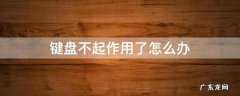 键盘按键不起作用怎么办 键盘不起作用了怎么办