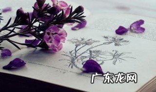 看透了人心社会的现实的句子