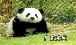 什么叫生物 什么叫生物钟