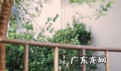 传统节日的古诗20首