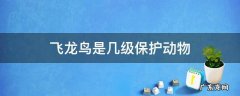 旋风鸟是几级保护动物 飞龙鸟是几级保护动物